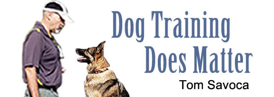 Maryland Dog Training